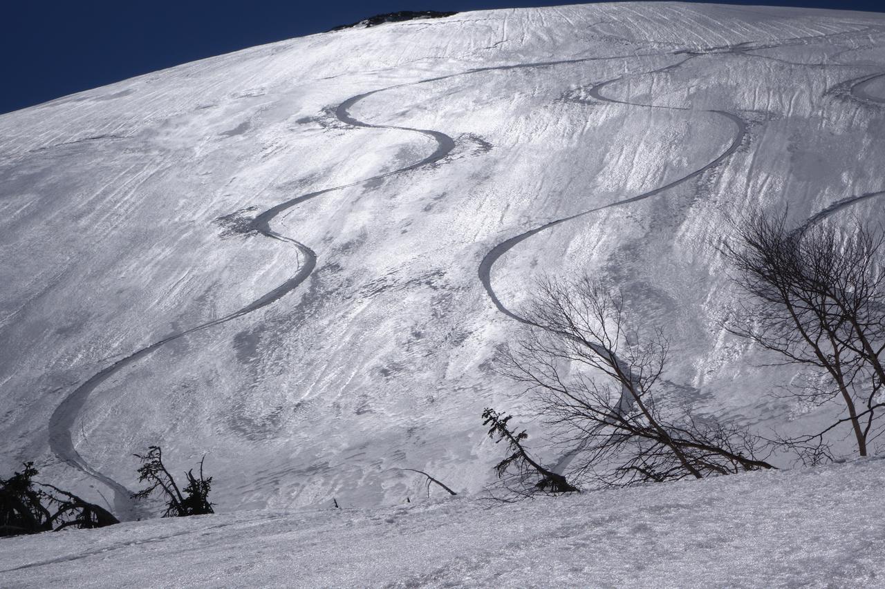 Schole Hakuba 호텔 외부 사진